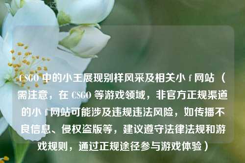 CSGO 中的小王展现别样风采及相关小 f 网站 (需注意,在 CSGO 等游戏领域,非官方正规渠道的小 f 网站可能涉及违规违法风险,如传播不良信息、侵权盗版等,建议遵守法律法规和游戏规则,通过正规途径参与游戏体验)