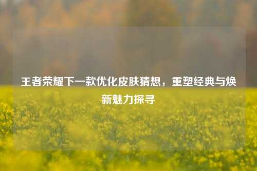 王者荣耀下一款优化皮肤猜想,重塑经典与焕新魅力探寻