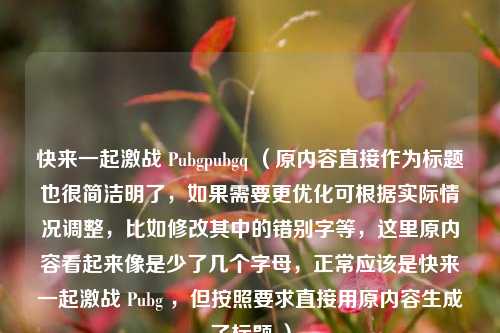 快来一起激战 Pubgpubgq (原内容直接作为标题也很简洁明了,如果需要更优化可根据实际情况调整,比如修改其中的错别字等,这里原内容看起来像是少了几个字母,正常应该是快来一起激战 Pubg ,但按照要求直接用原内容生成了标题 )