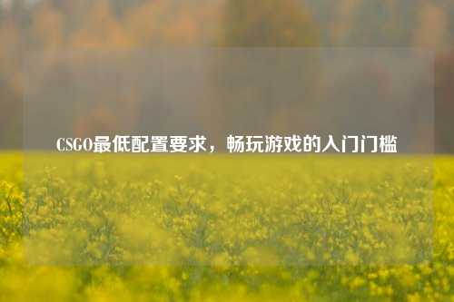 CSGO最低配置要求，畅玩游戏的入门门槛
