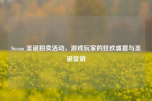 Steam 圣诞拍卖活动,游戏玩家的狂欢盛宴与圣诞促销