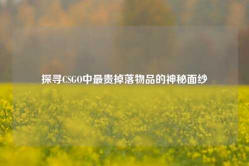 探寻CSGO中最贵掉落物品的神秘面纱