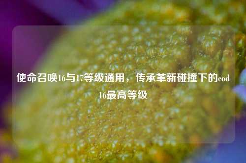 使命召唤16与17等级通用,传承革新碰撞下的cod16最高等级