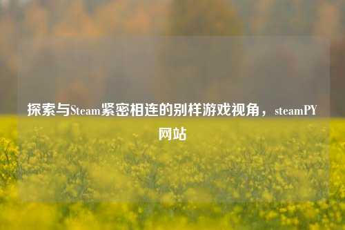探索与Steam紧密相连的别样游戏视角,steamPY网站