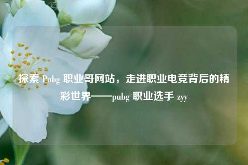 探索 Pubg 职业哥网站，走进职业电竞背后的精彩世界——pubg 职业选手 zyy
