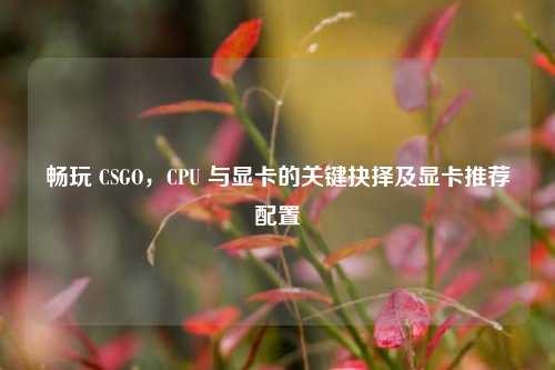 畅玩 CSGO,CPU 与显卡的关键抉择及显卡推荐配置