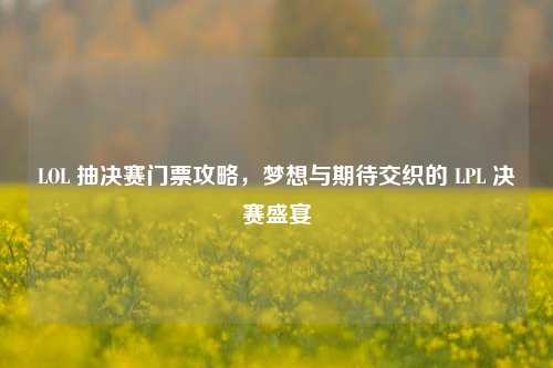 LOL 抽决赛门票攻略,梦想与期待交织的 LPL 决赛盛宴