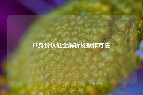 CF身份认证全解析及操作方法