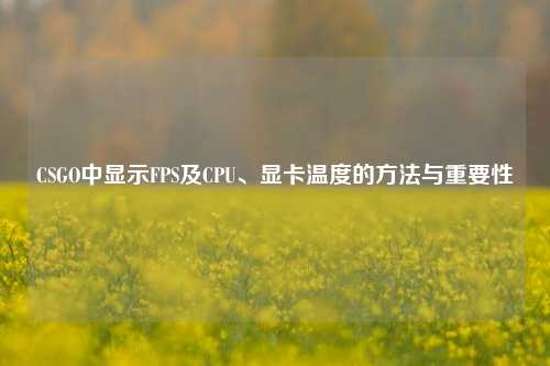 CSGO中显示FPS及CPU、显卡温度的方法与重要性