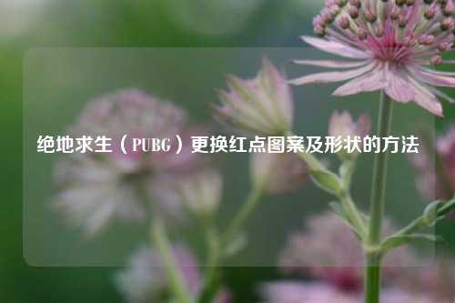 绝地求生(PUBG)更换红点图案及形状的方法