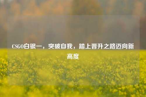 CSGO白银一,突破自我,踏上晋升之路迈向新高度