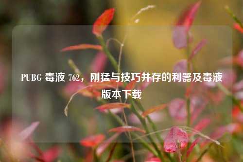 PUBG 毒液 762,刚猛与技巧并存的利器及毒液版本下载