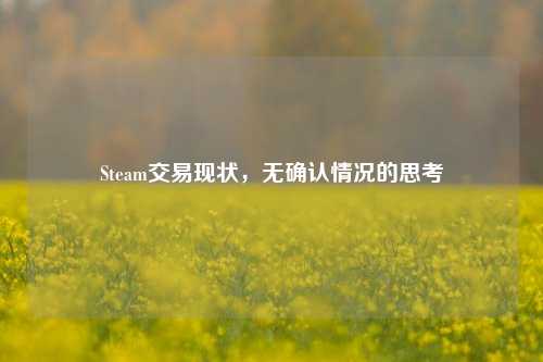 Steam交易现状,无确认情况的思考