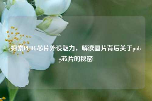 探索PUBG芯片外设魅力,解读图片背后关于pubg芯片的秘密