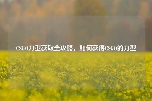 CSGO刀型获取全攻略,如何获得CSGO的刀型
