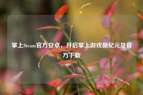 掌上Steam官方安卓，开启掌上游戏新纪元及官方下载