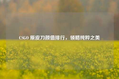 CSGO 原皮刀颜值排行，领略纯粹之美