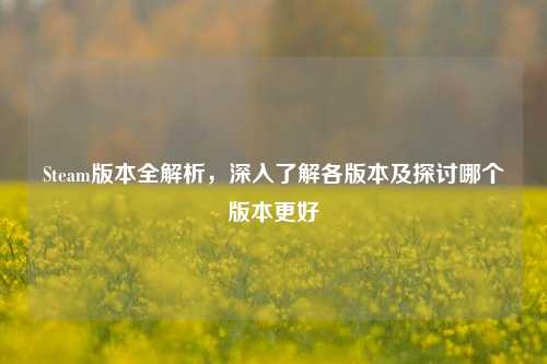 Steam版本全解析,深入了解各版本及探讨哪个版本更好