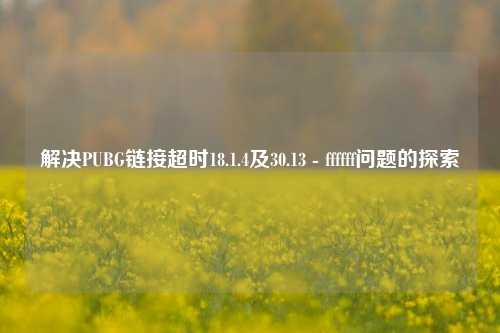 解决PUBG链接超时18.1.4及30.13 - ffffff问题的探索