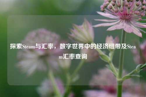 探索Steam与汇率,数字世界中的经济纽带及Steam汇率查询