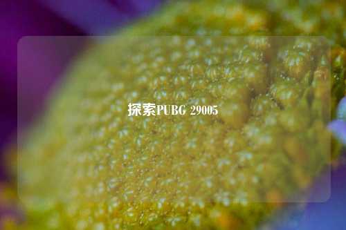探索PUBG 29005