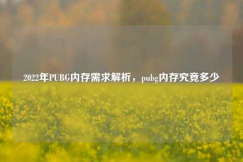 2022年PUBG内存需求解析,pubg内存究竟多少