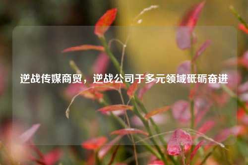 逆战传媒商贸,逆战公司于多元领域砥砺奋进