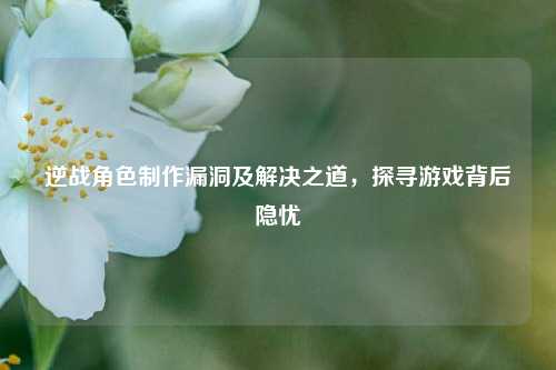 逆战角色制作漏洞及解决之道,探寻游戏背后隐忧