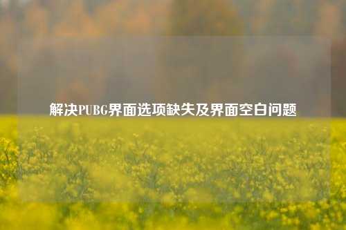 解决PUBG界面选项缺失及界面空白问题