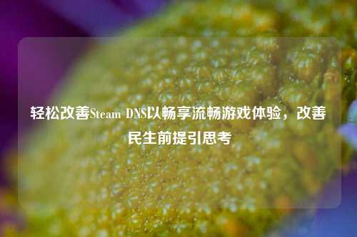 轻松改善Steam DNS以畅享流畅游戏体验,改善民生前提引思考