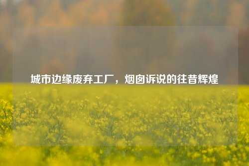 城市边缘废弃工厂,烟囱诉说的往昔辉煌