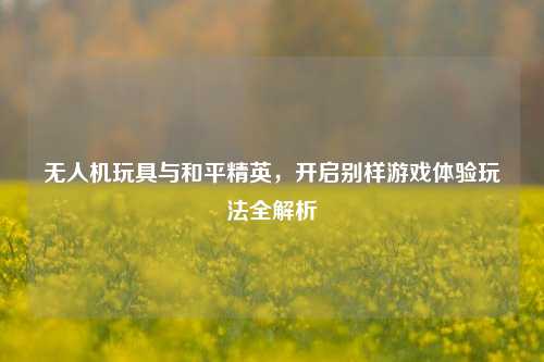 无人机玩具与和平精英,开启别样游戏体验玩法全解析