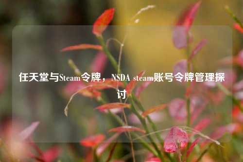 任天堂与Steam令牌，NSDA steam账号令牌管理探讨