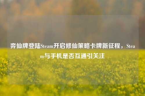 弈仙牌登陆Steam开启修仙策略卡牌新征程，Steam与手机是否互通引关注