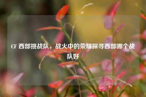 CF 西部挑战队,战火中的荣耀探寻西部哪个战队好