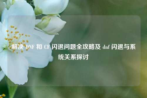 解决 DNF 和 CF 闪退问题全攻略及 dnf 闪退与系统关系探讨