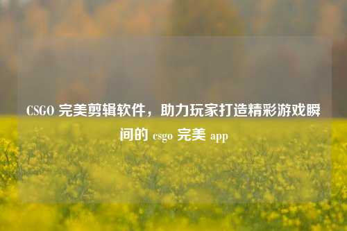 CSGO 完美剪辑软件,助力玩家打造精彩游戏瞬间的 csgo 完美 app
