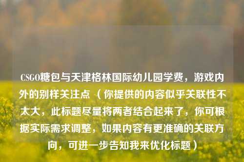 CSGO糖包与天津格林国际幼儿园学费，游戏内外的别样关注点 （你提供的内容似乎关联性不太大，此标题尽量将两者结合起来了，你可根据实际需求调整，如果内容有更准确的关联方向，可进一步告知我来优化标题）