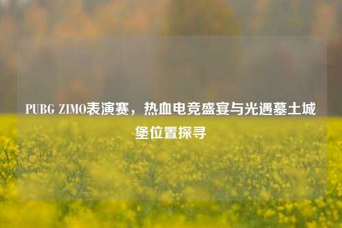 PUBG ZIMO表演赛,热血电竞盛宴与光遇墓土城堡位置探寻