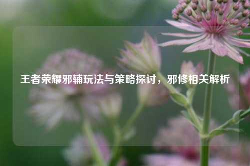 王者荣耀邪辅玩法与策略探讨,邪修相关解析