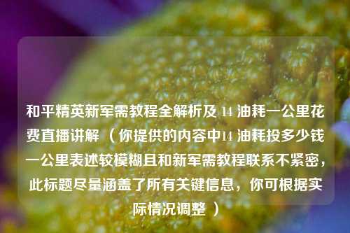和平精英新军需教程全解析及 14 油耗一公里花费直播讲解 (你提供的内容中14 油耗投多少钱一公里表述较模糊且和新军需教程联系不紧密,此标题尽量涵盖了所有关键信息,你可根据实际情况调整 )