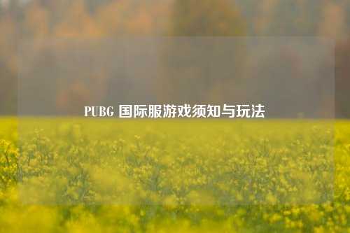 PUBG 国际服游戏须知与玩法