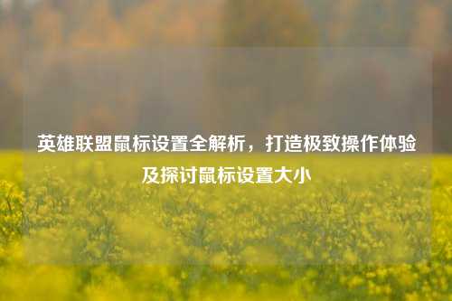 英雄联盟鼠标设置全解析，打造极致操作体验及探讨鼠标设置大小