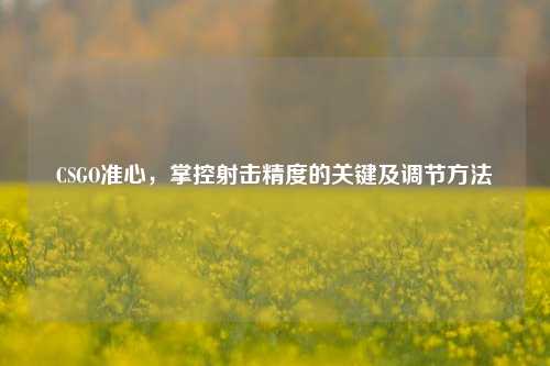 CSGO准心,掌控射击精度的关键及调节方法