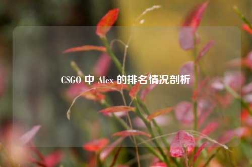 CSGO 中 Alex 的排名情况剖析