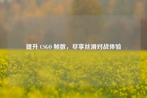 提升 CSGO 帧数，尽享丝滑对战体验