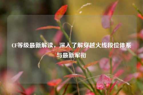 CF等级最新解读,深入了解穿越火线段位体系与最新军衔