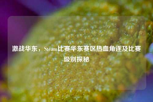 激战华东,Steam比赛华东赛区热血角逐及比赛级别探秘