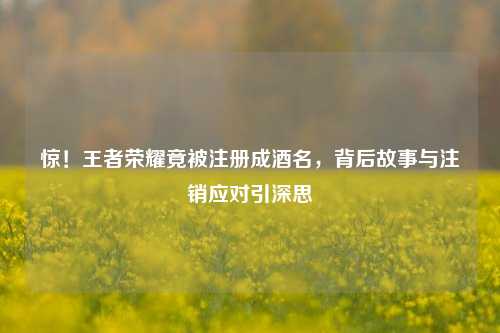 惊！王者荣耀竟被注册成酒名，背后故事与注销应对引深思