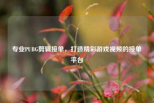 专业PUBG剪辑接单,打造精彩游戏视频的接单平台